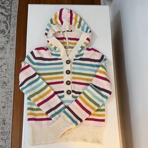 Aeropostale Striped Multicolor Hooded Sweater